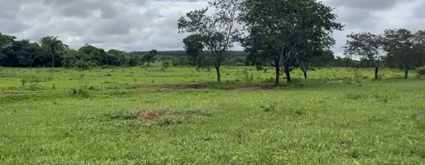 Fazenda, 712 hectares - Foto 12