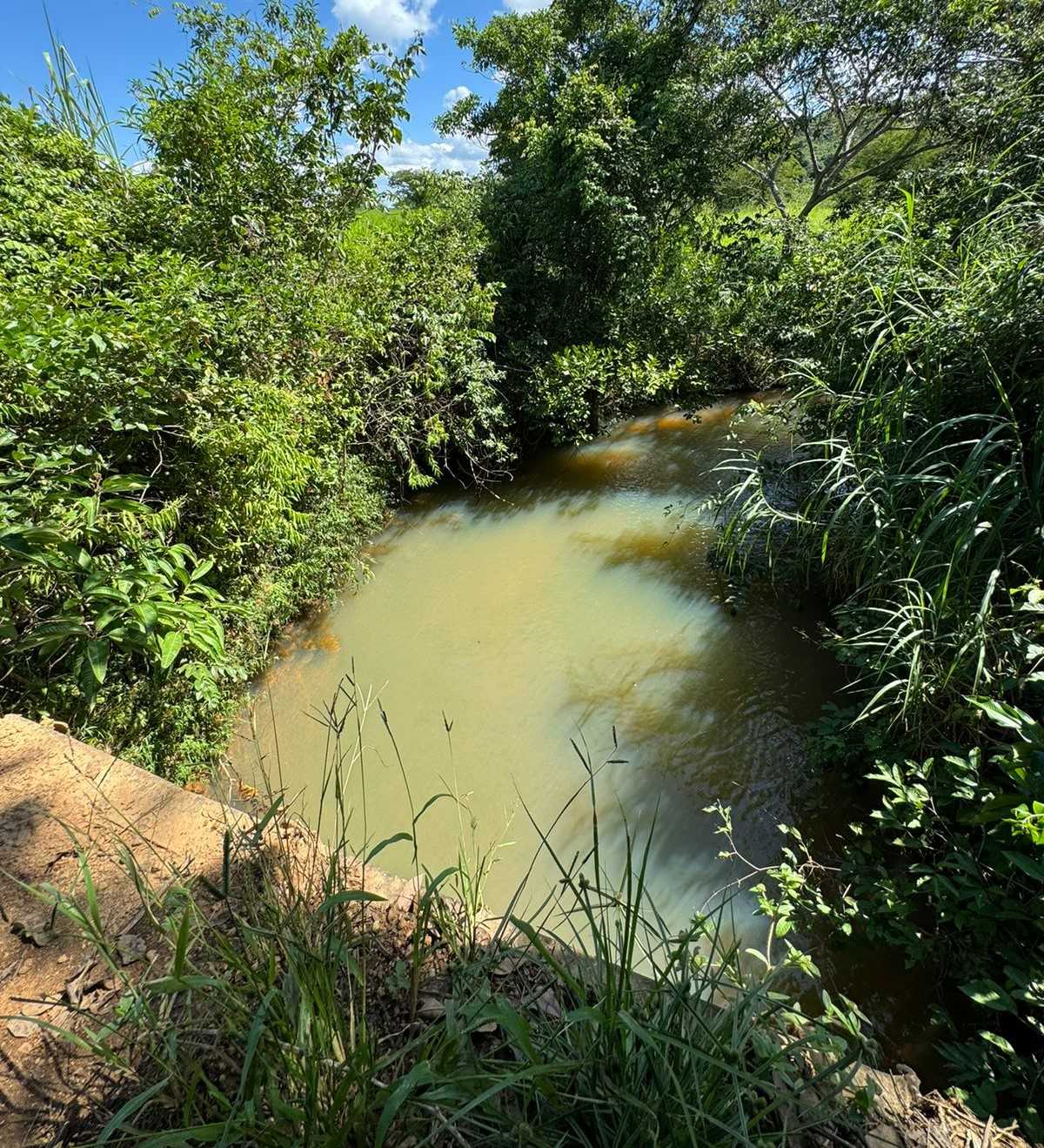 Fazenda, 712 hectares - Foto 20