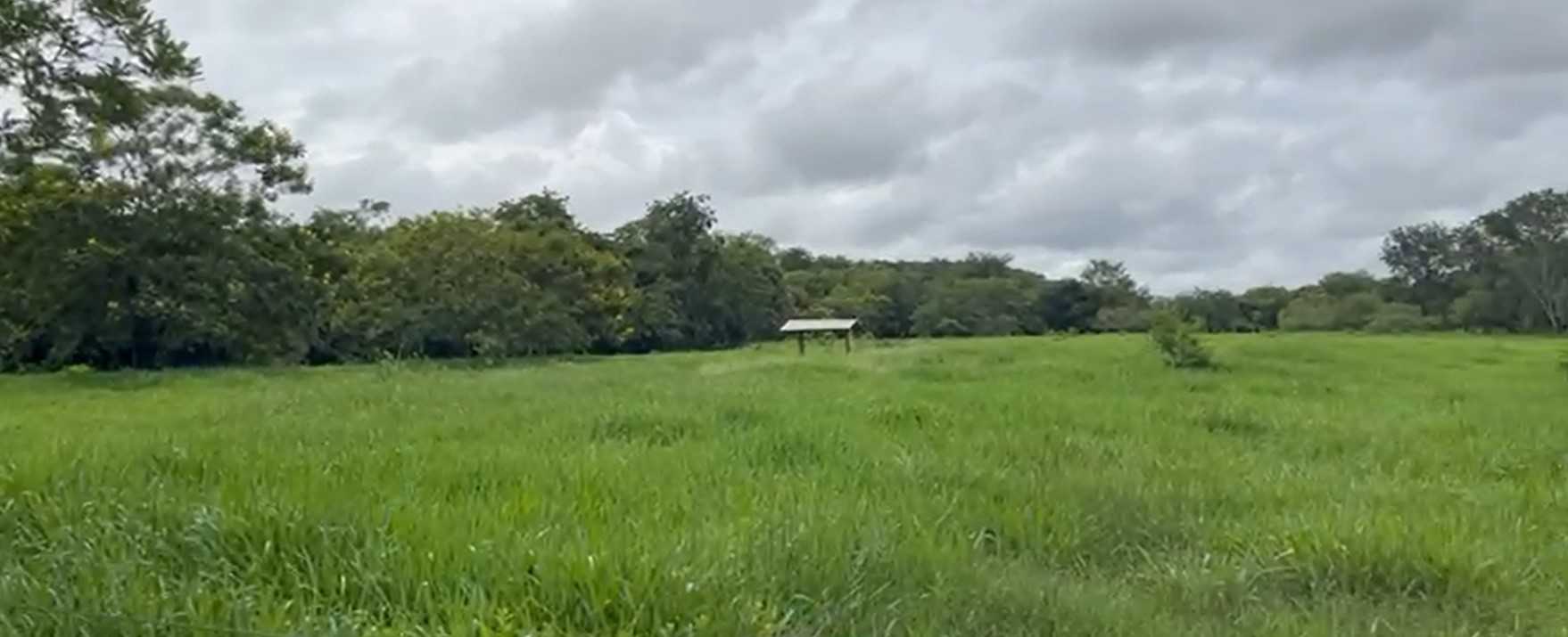 Fazenda, 712 hectares - Foto 14