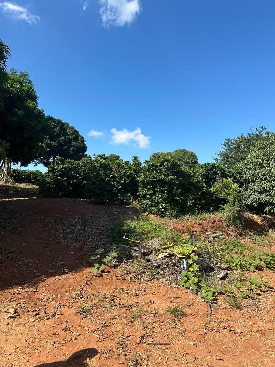 Fazenda-Sítio-Chácara, 1 quarto - Foto 16