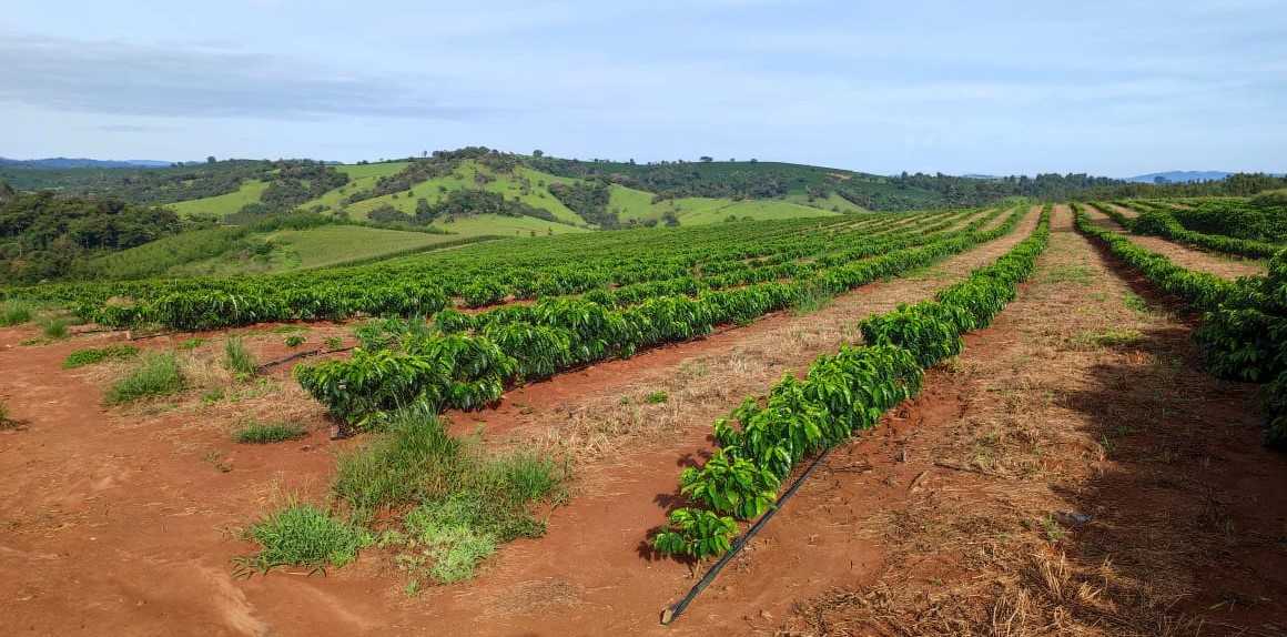 Fazenda, 300 hectares - Foto 22
