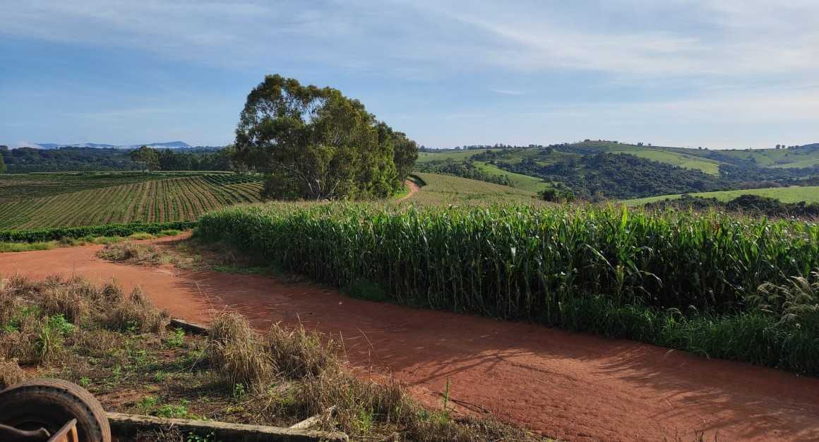 Fazenda, 300 hectares - Foto 4