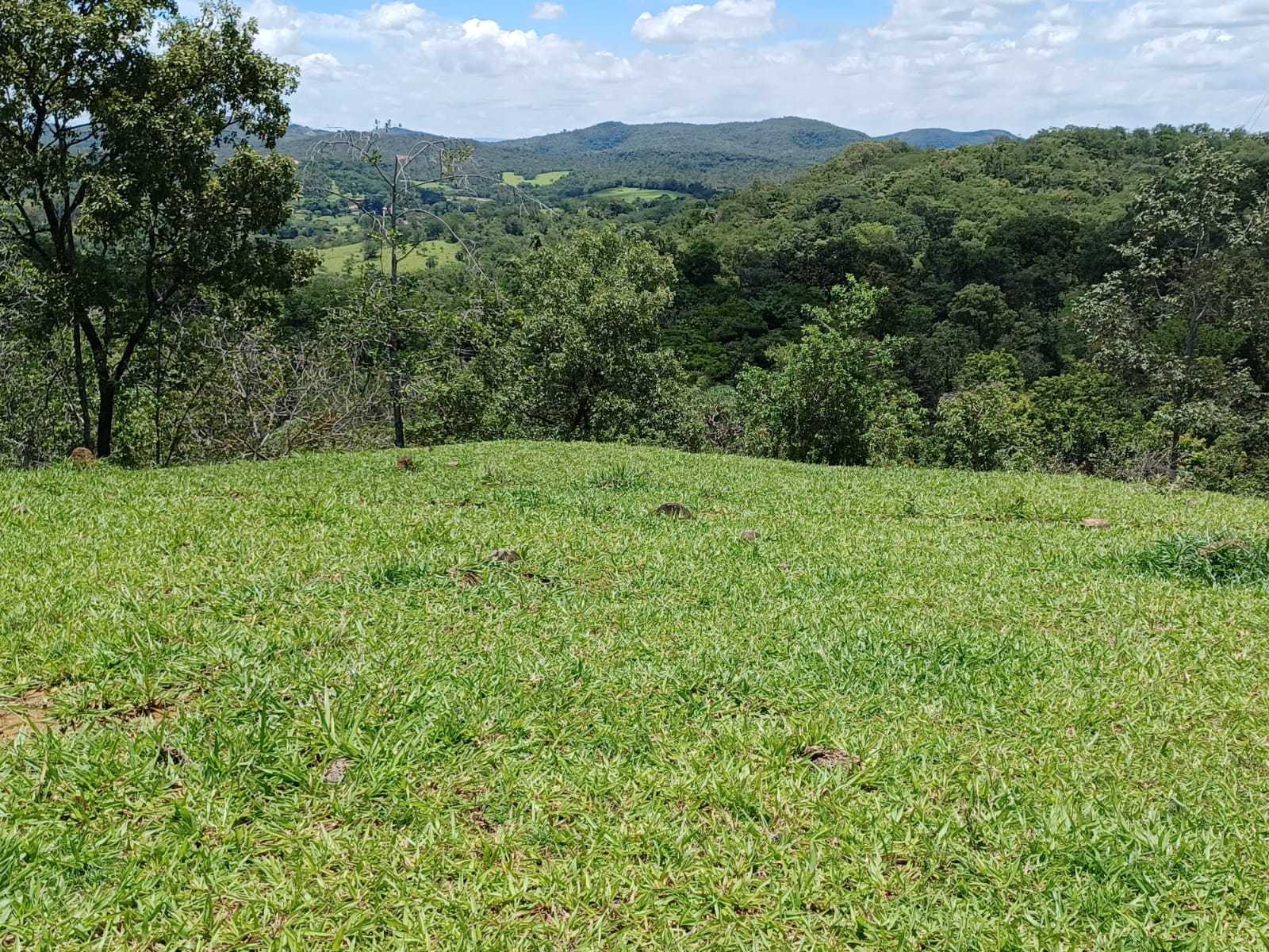 Fazenda, 80 hectares - Foto 15