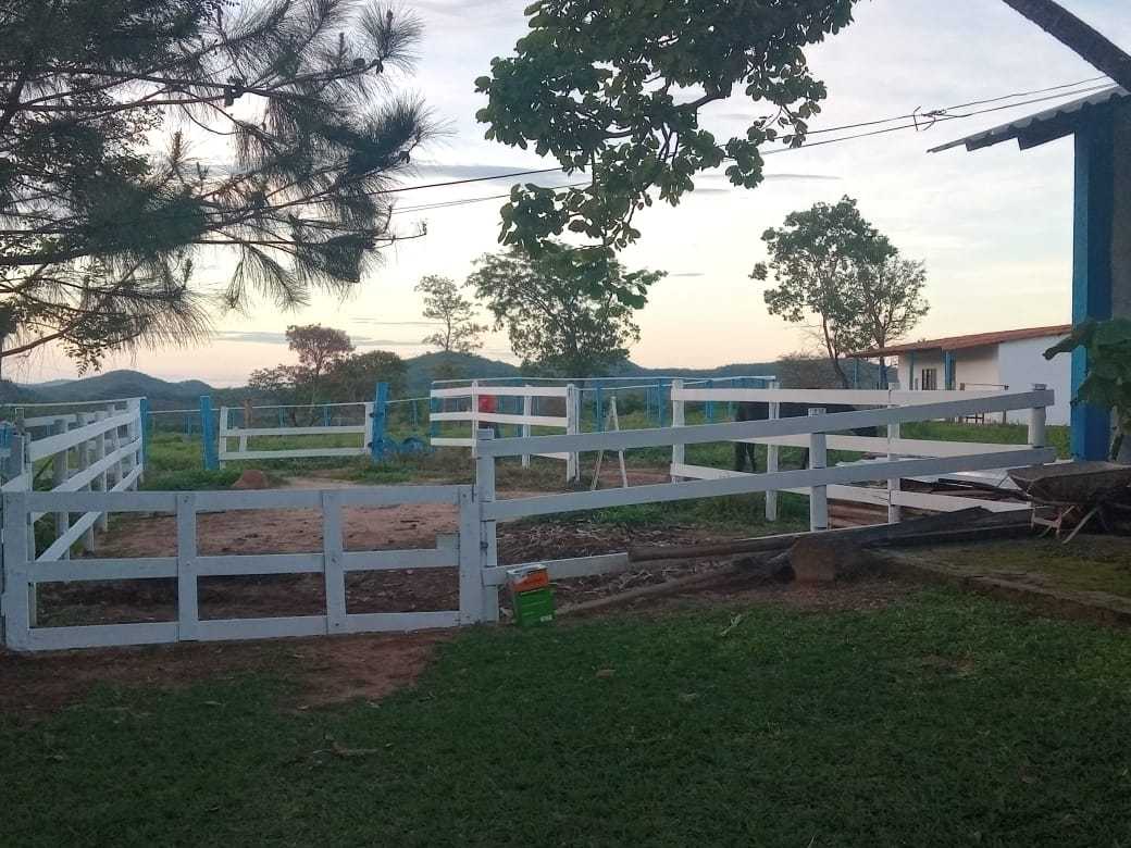 Fazenda, 80 hectares - Foto 24