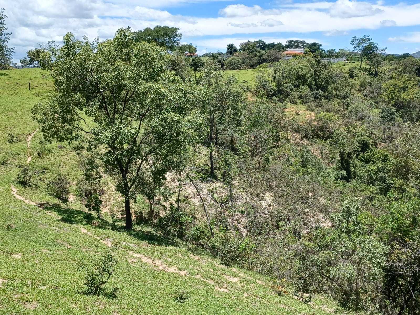 Fazenda, 80 hectares - Foto 16