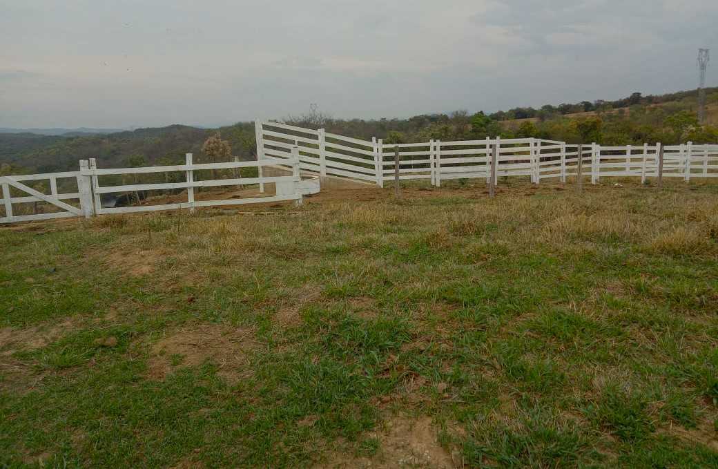 Fazenda, 80 hectares - Foto 13