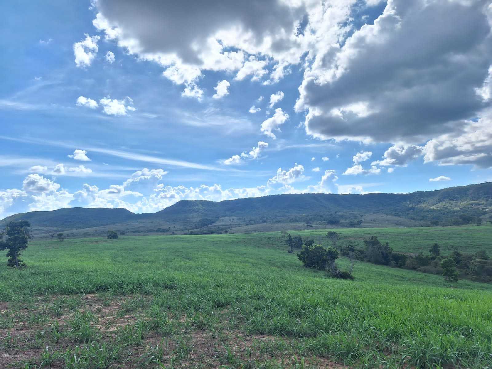 Fazenda, 1250 hectares - Foto 5