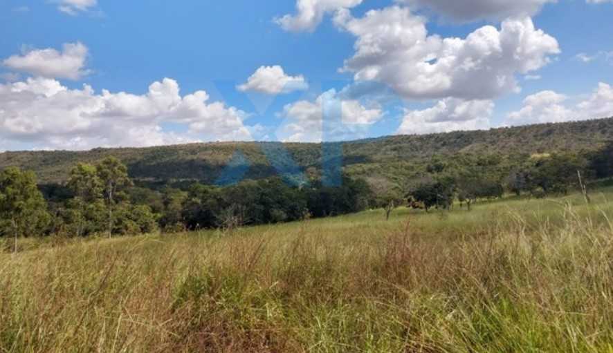 Chácara, 2 quartos, 1250 hectares - Foto 9