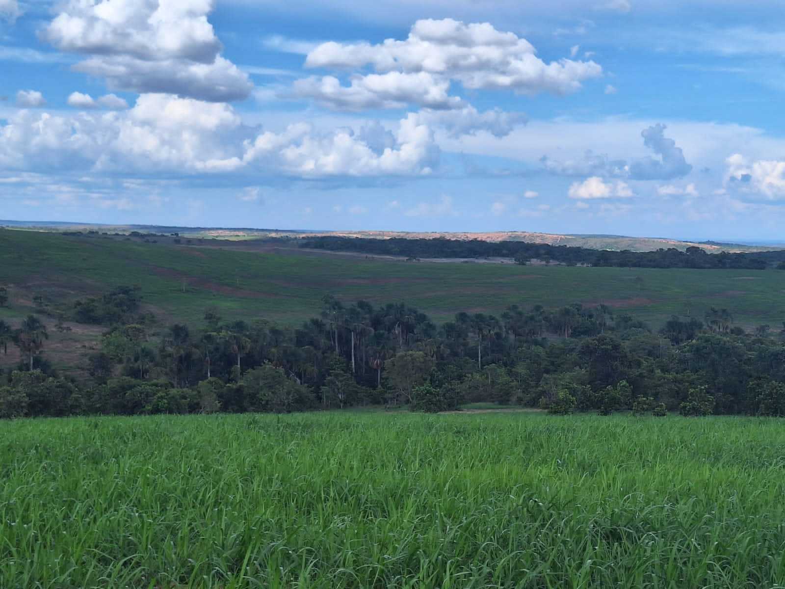 Chácara, 2 quartos, 1250 hectares - Foto 14