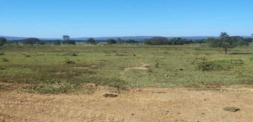 Chácara, 2 quartos, 1250 hectares - Foto 6