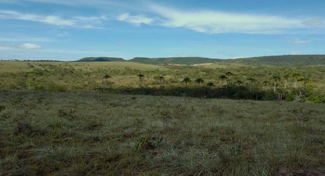 Chácara, 2 quartos, 1250 hectares - Foto 12