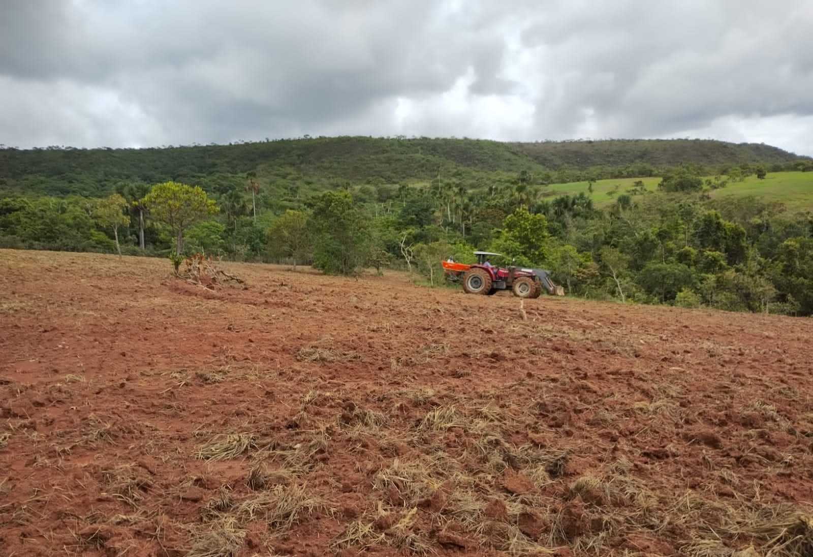 Chácara, 2 quartos, 1250 hectares - Foto 19