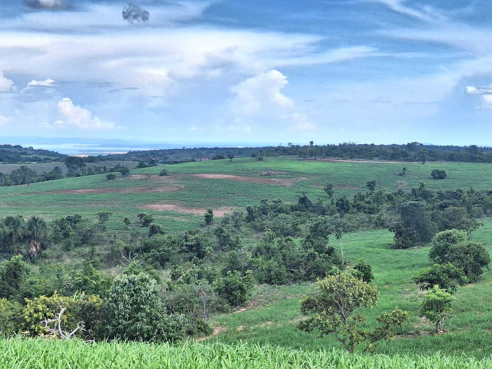 Chácara, 2 quartos, 1250 hectares - Foto 13
