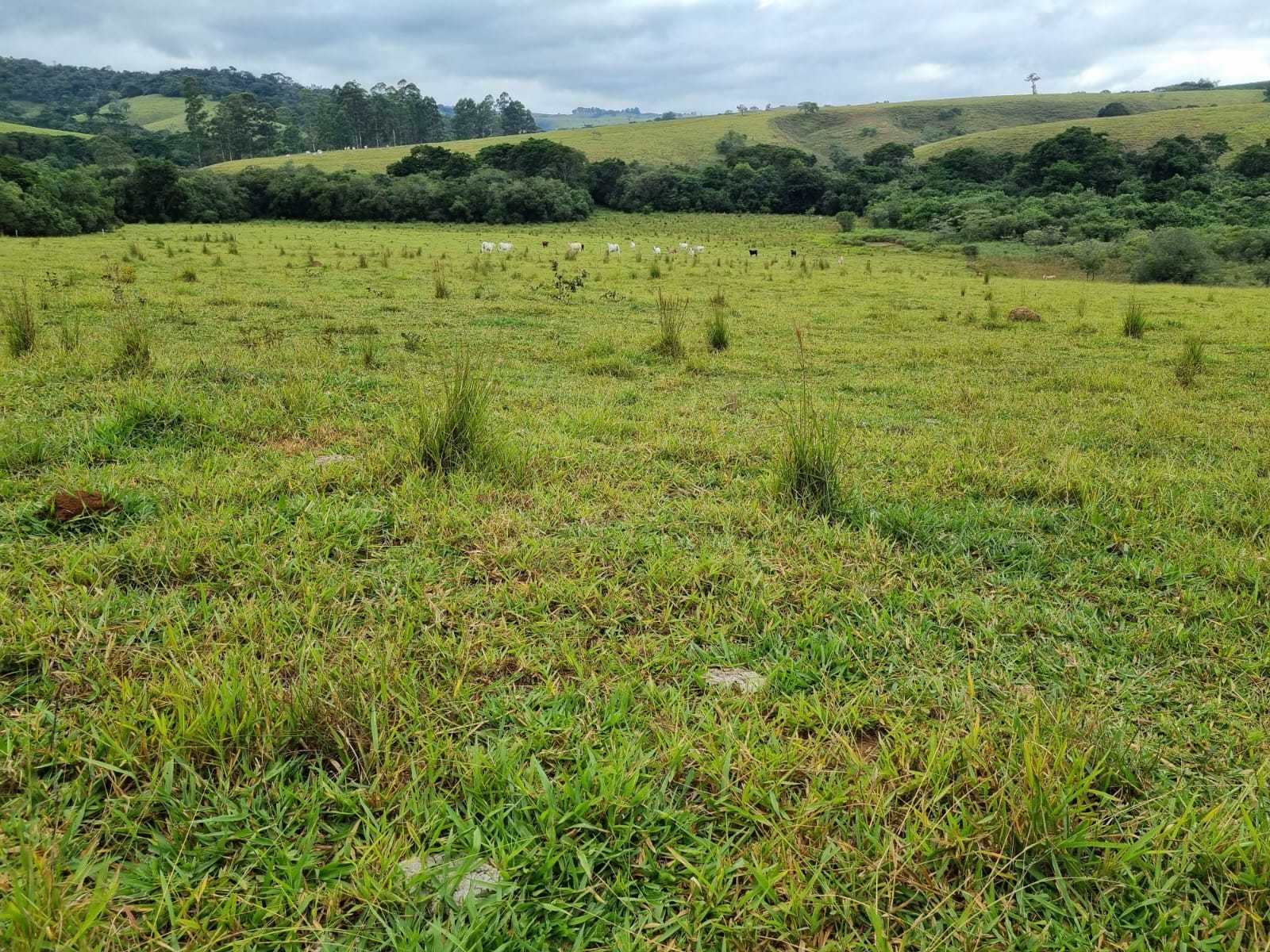Chácara, 2 quartos, 242 hectares - Foto 17