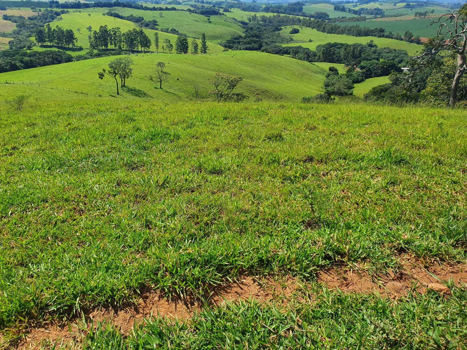 Chácara, 2 quartos, 242 hectares - Foto 12
