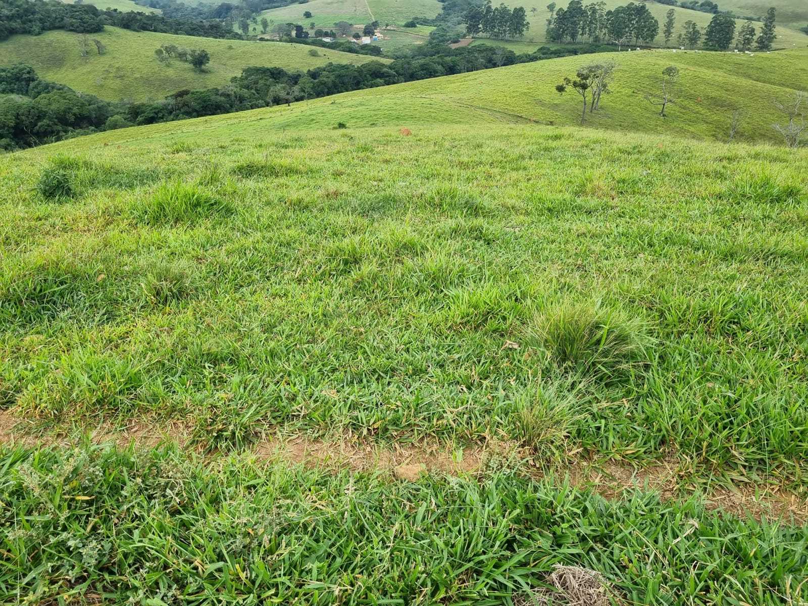 Chácara, 2 quartos, 242 hectares - Foto 9
