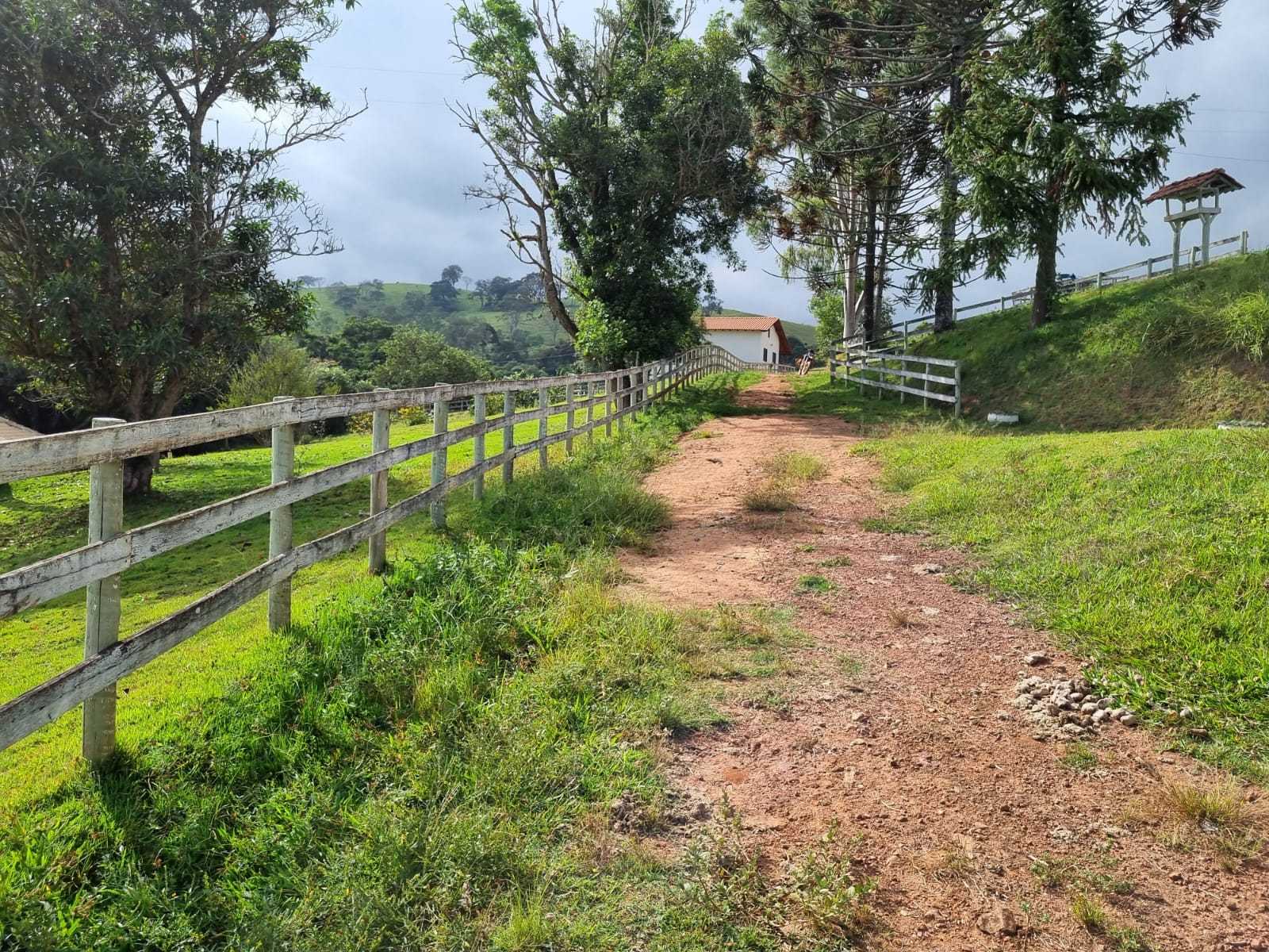 Chácara, 2 quartos, 242 hectares - Foto 22