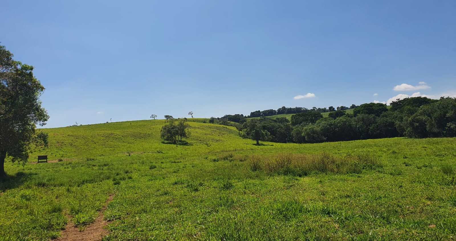 Chácara, 2 quartos, 242 hectares - Foto 16