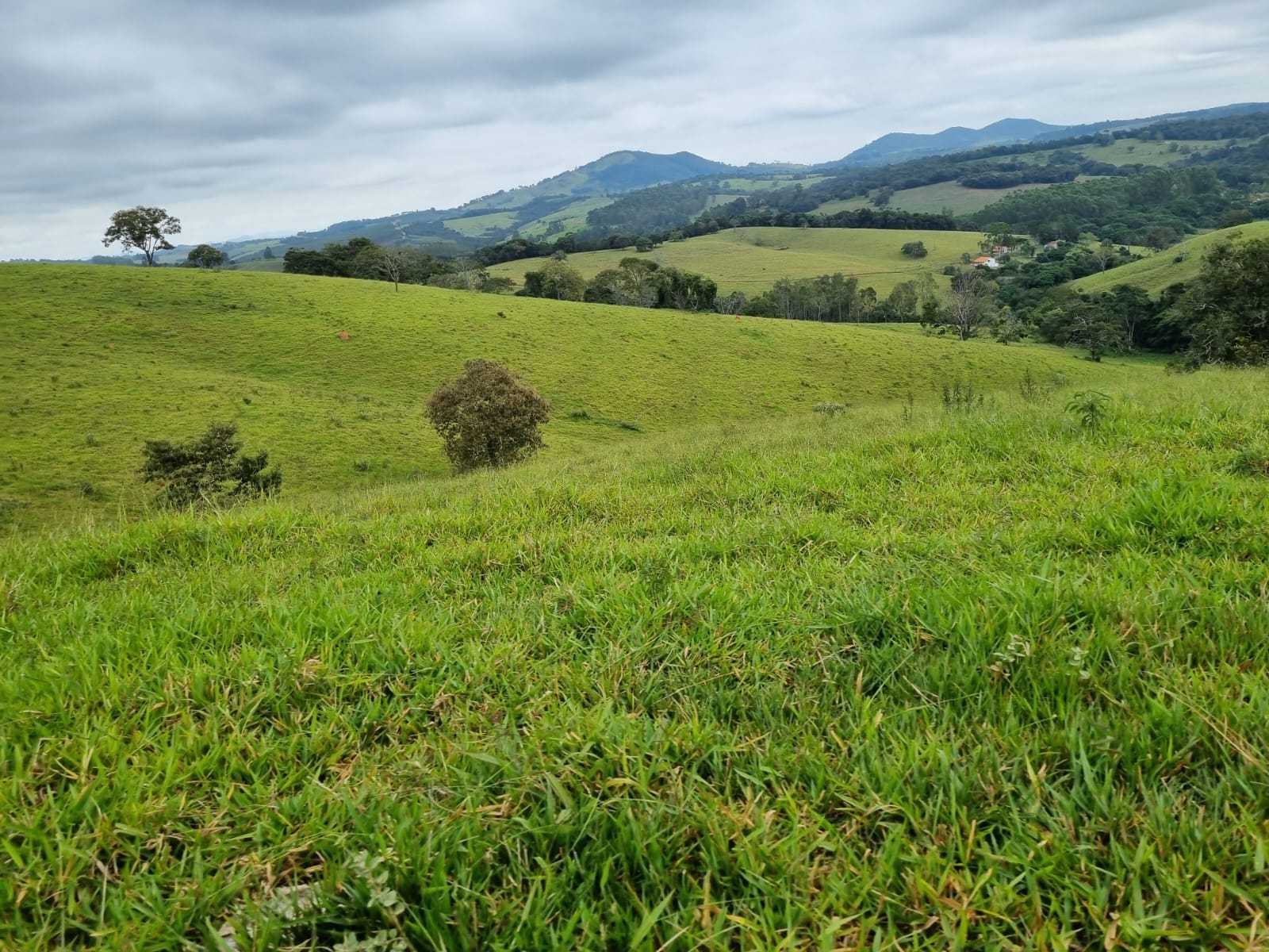 Chácara, 2 quartos, 242 hectares - Foto 19