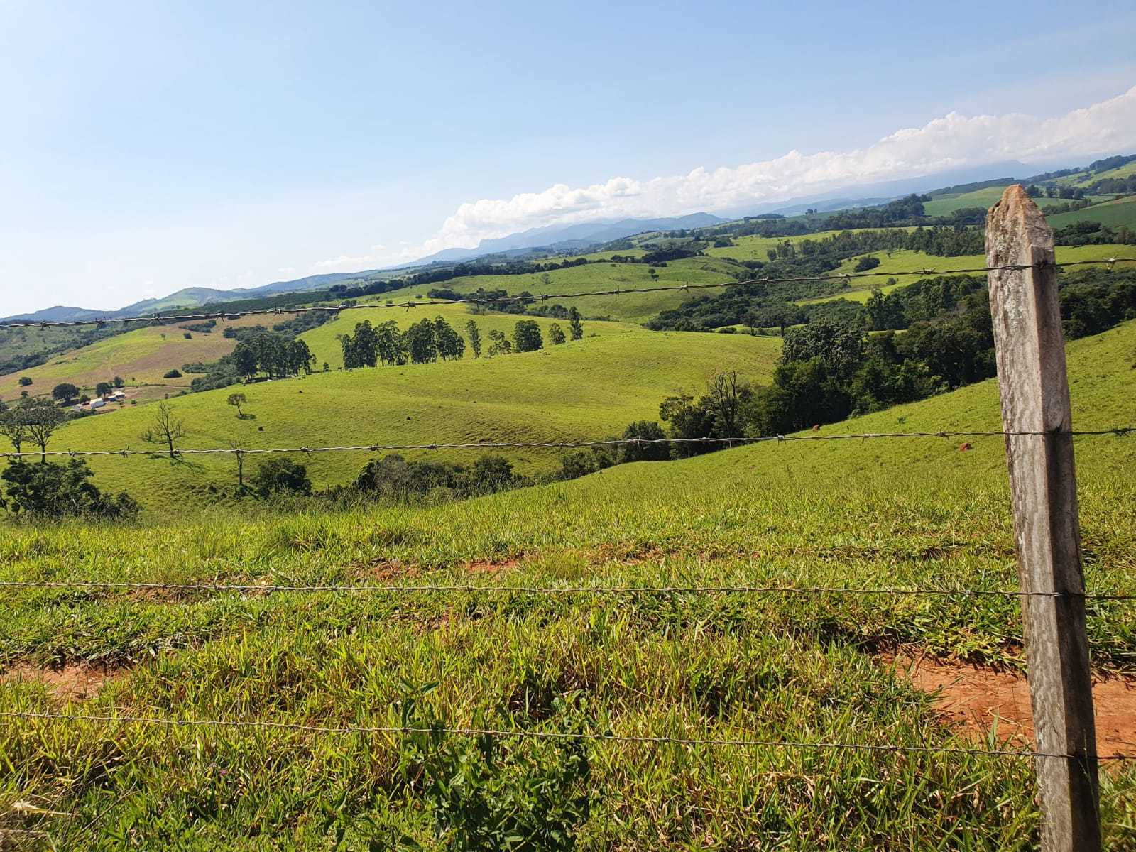 Chácara, 2 quartos, 242 hectares - Foto 14