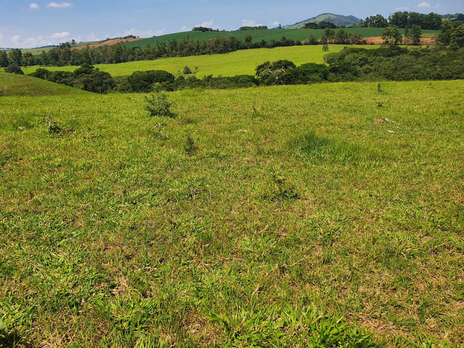 Chácara, 2 quartos, 242 hectares - Foto 11