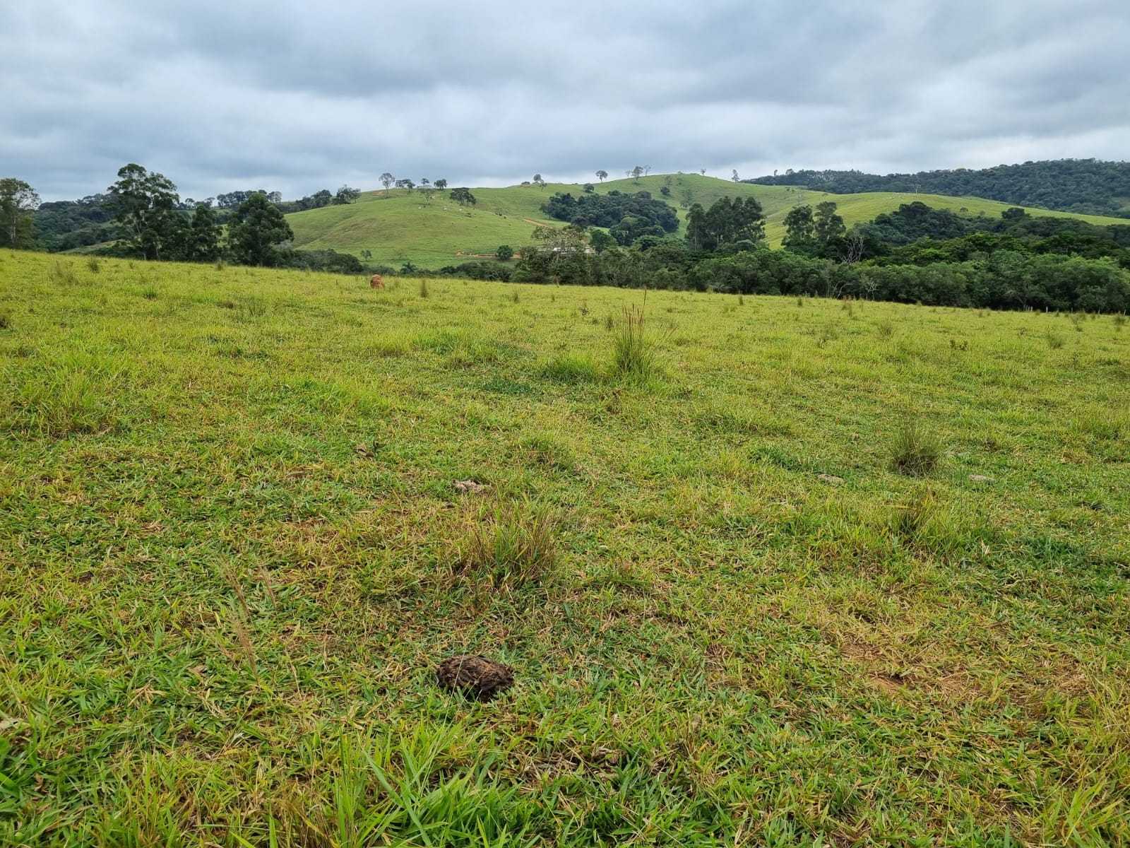Chácara, 2 quartos, 242 hectares - Foto 8