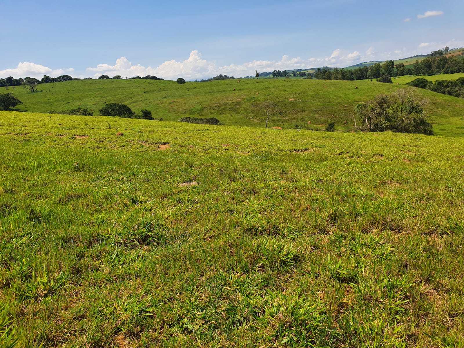 Chácara, 2 quartos, 242 hectares - Foto 15
