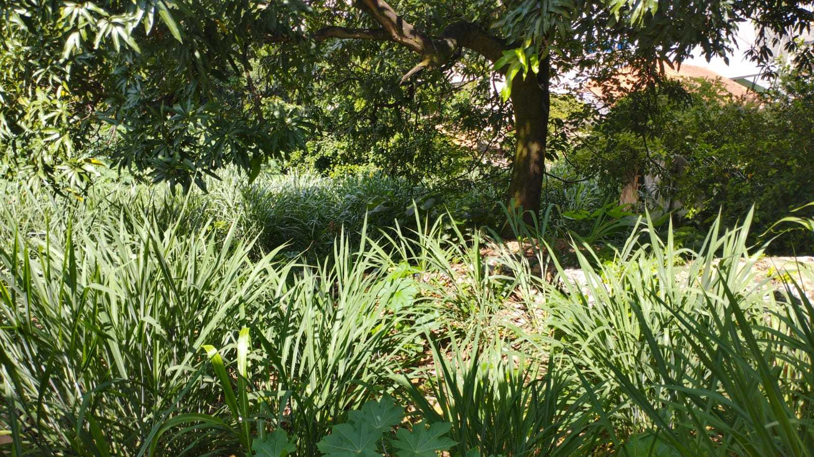 Casa, 2 quartos, 169 m² - Foto 8