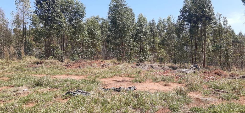 Fazenda, 323 hectares - Foto 17