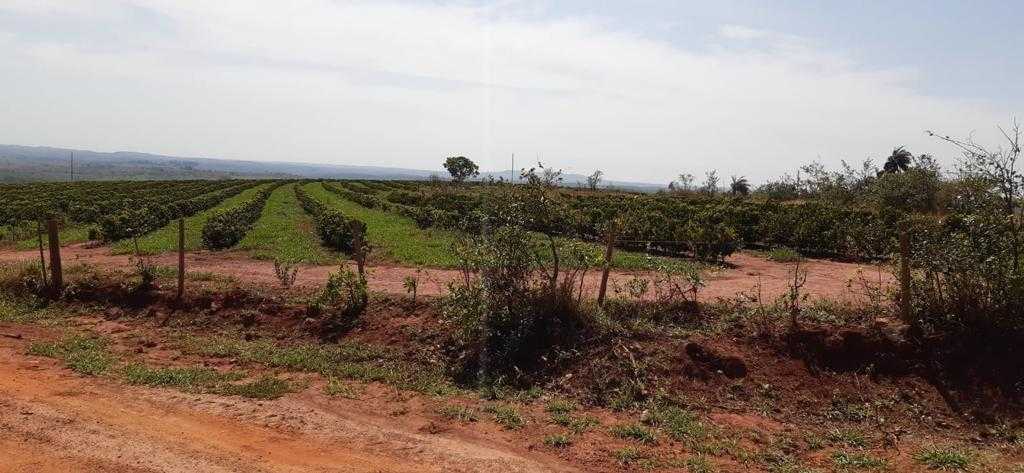 Fazenda, 323 hectares - Foto 12