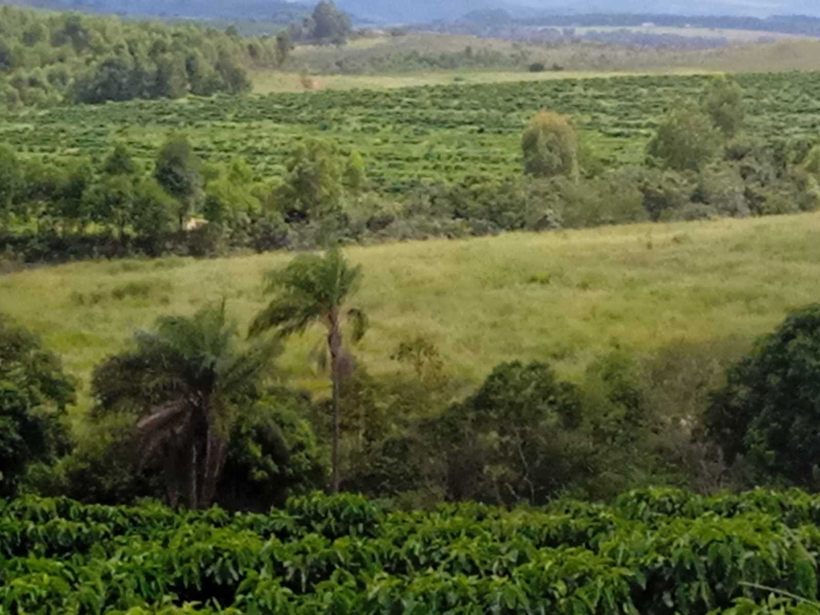 Fazenda, 323 hectares - Foto 6