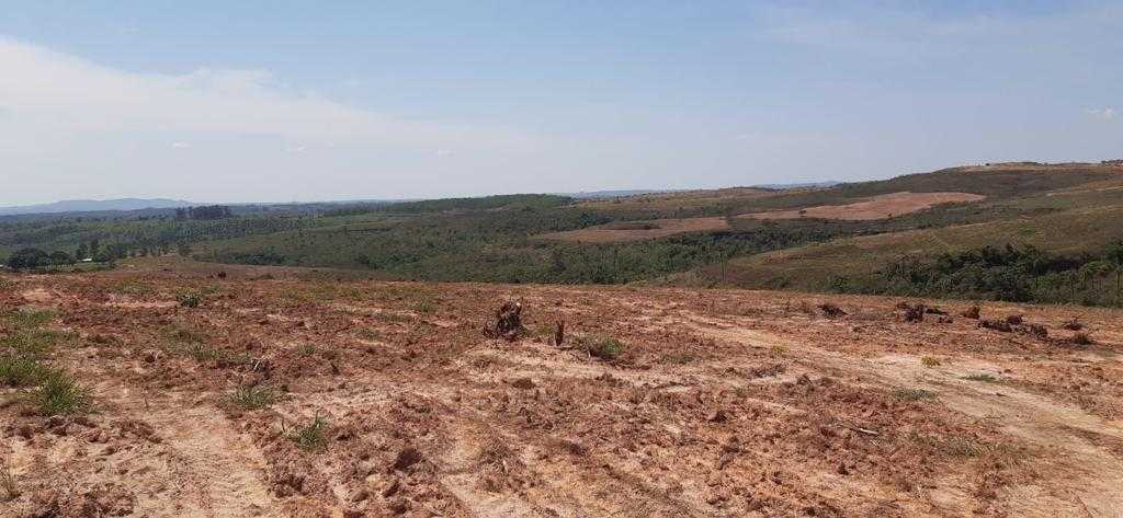 Fazenda, 323 hectares - Foto 21