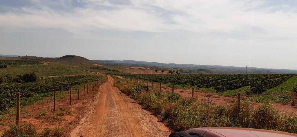 Fazenda, 323 hectares - Foto 13