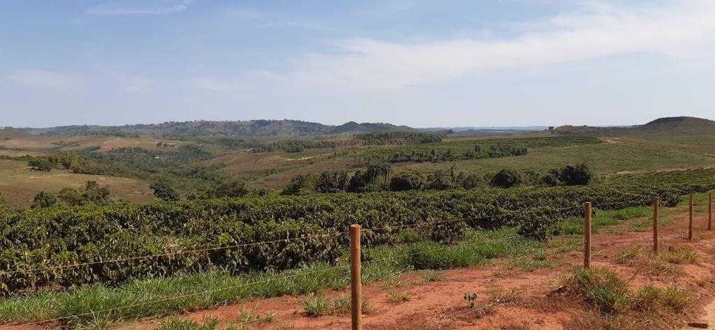 Fazenda, 323 hectares - Foto 10