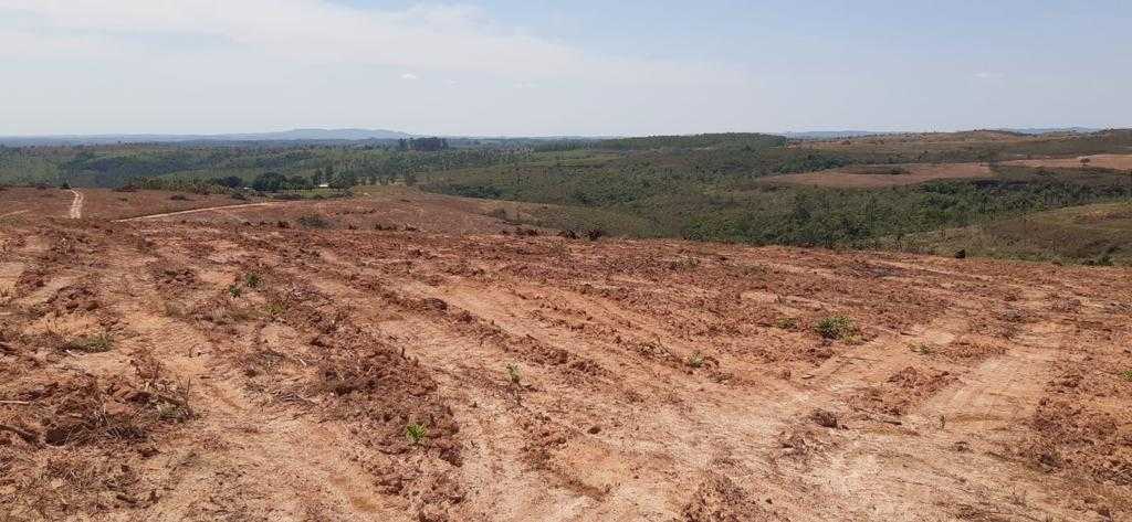 Fazenda, 323 hectares - Foto 22