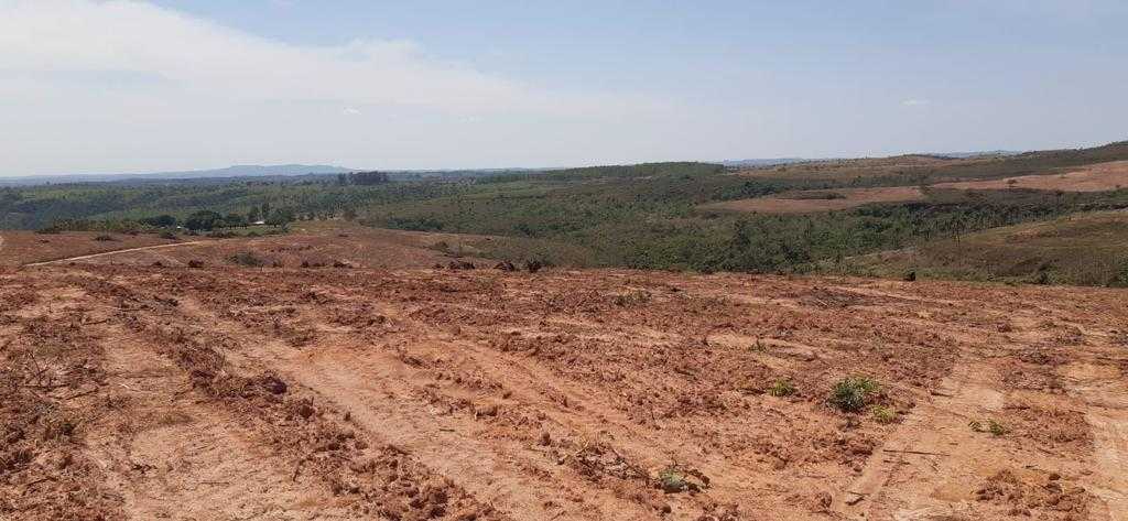 Fazenda, 323 hectares - Foto 24