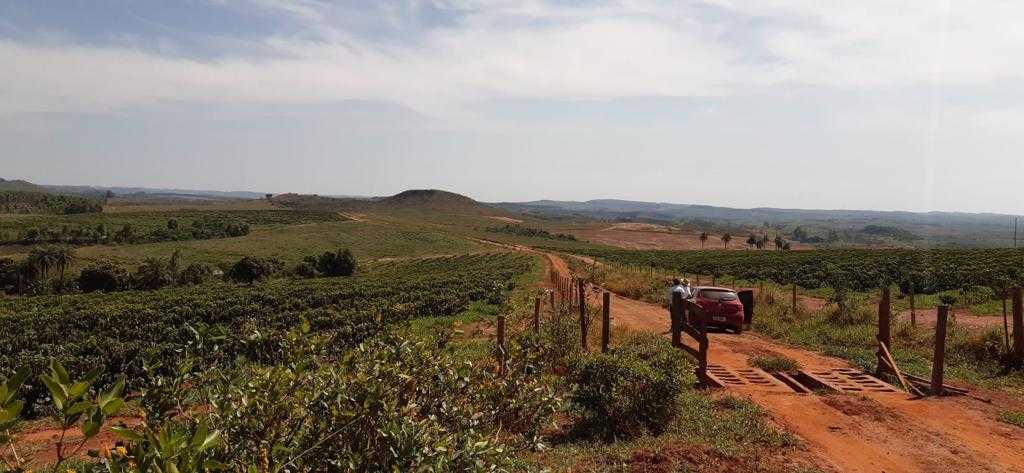 Fazenda, 323 hectares - Foto 19