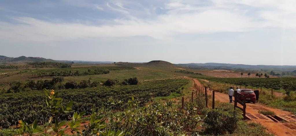Fazenda, 323 hectares - Foto 16