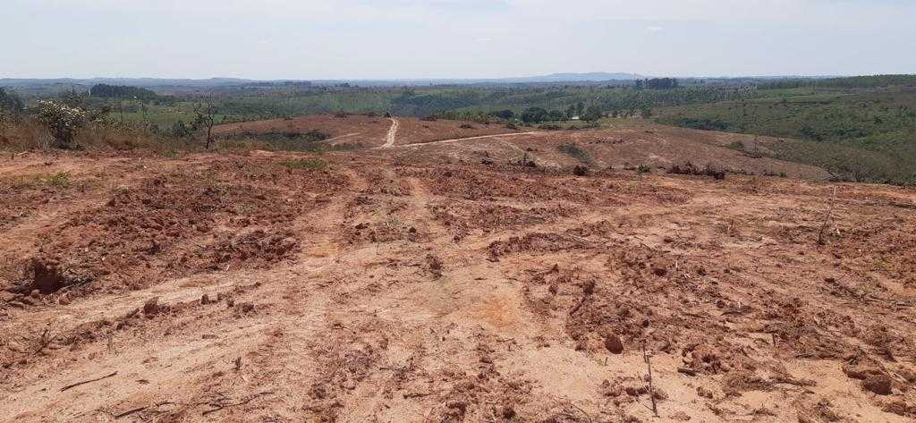 Fazenda, 323 hectares - Foto 23