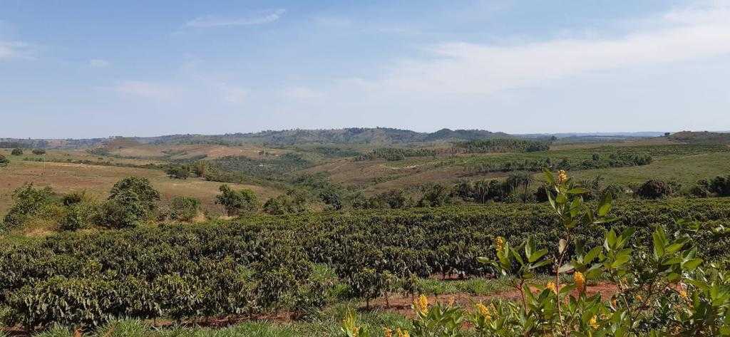 Fazenda, 323 hectares - Foto 14