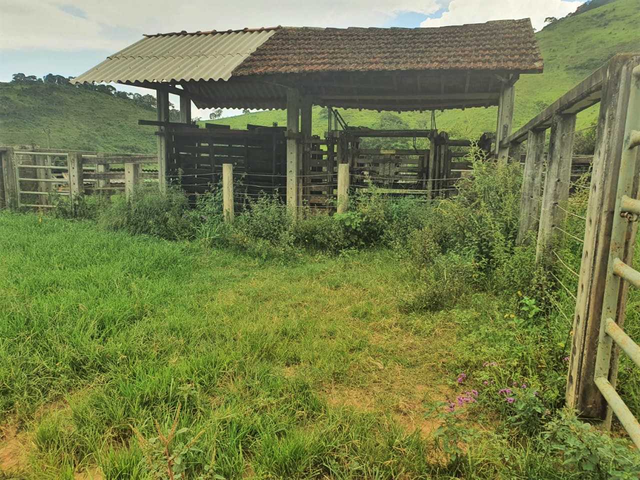Chácara, 4 quartos, 208 hectares - Foto 22