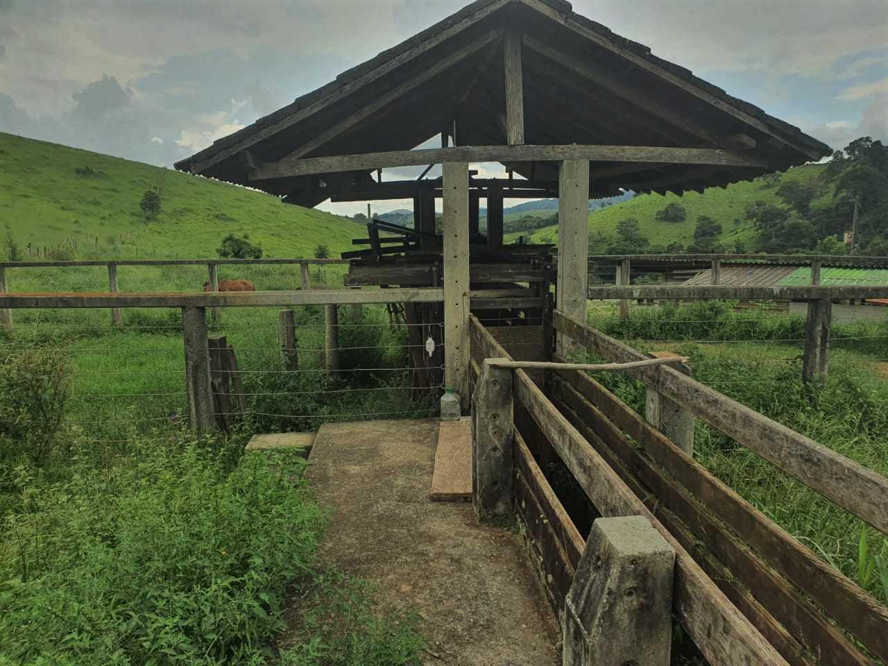 Chácara, 4 quartos, 208 hectares - Foto 25