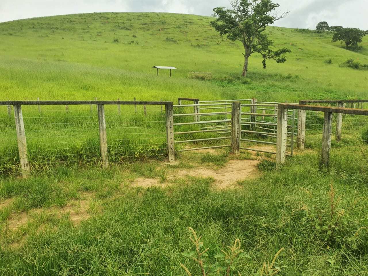 Chácara, 4 quartos, 208 hectares - Foto 7
