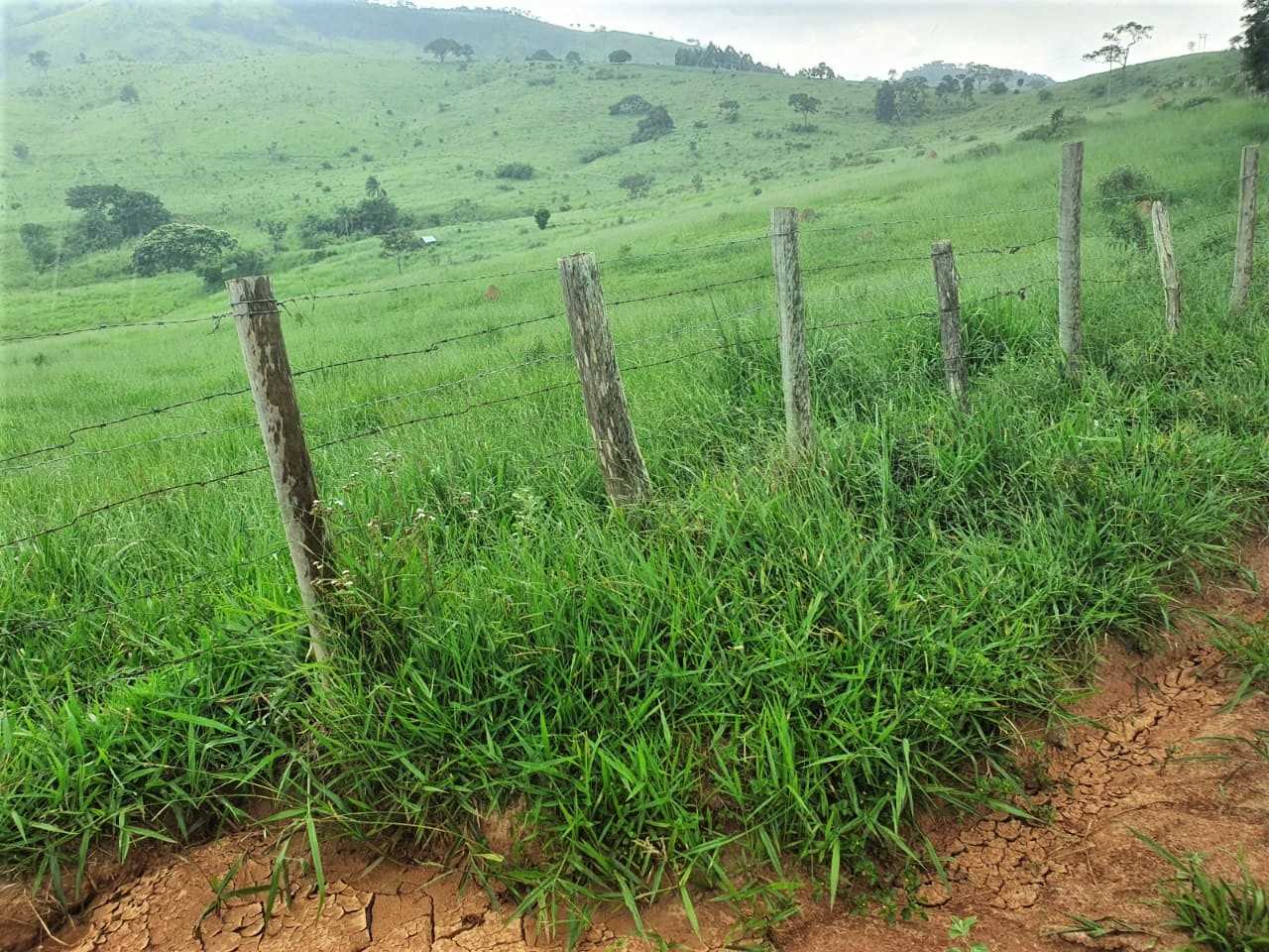 Chácara, 4 quartos, 208 hectares - Foto 14