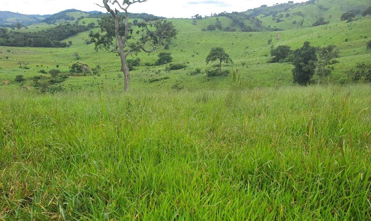 Chácara, 4 quartos, 208 hectares - Foto 10