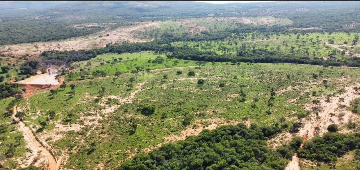 Fazenda, 687 hectares - Foto 5