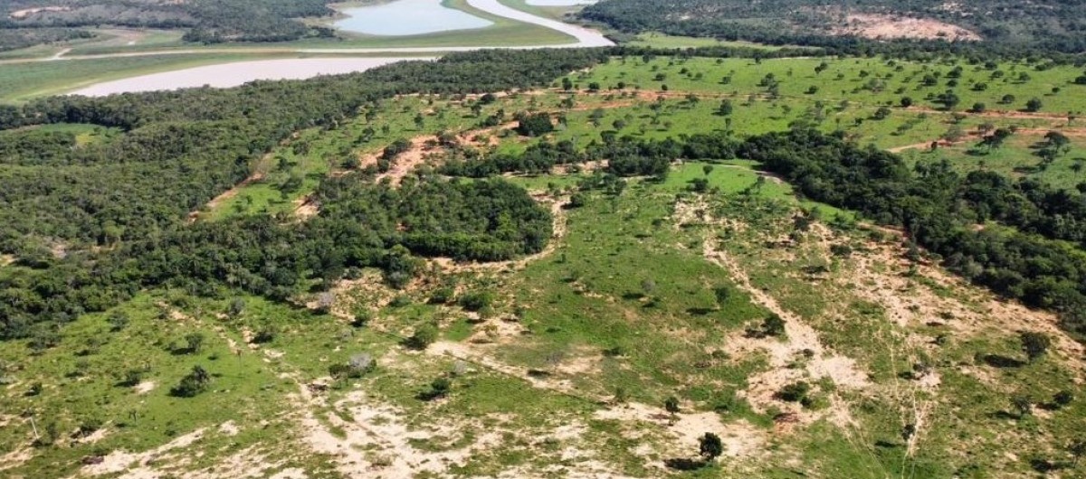 Fazenda, 687 hectares - Foto 1