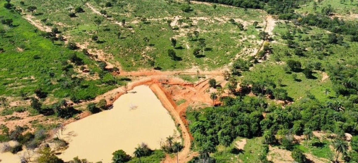 Fazenda, 687 hectares - Foto 11