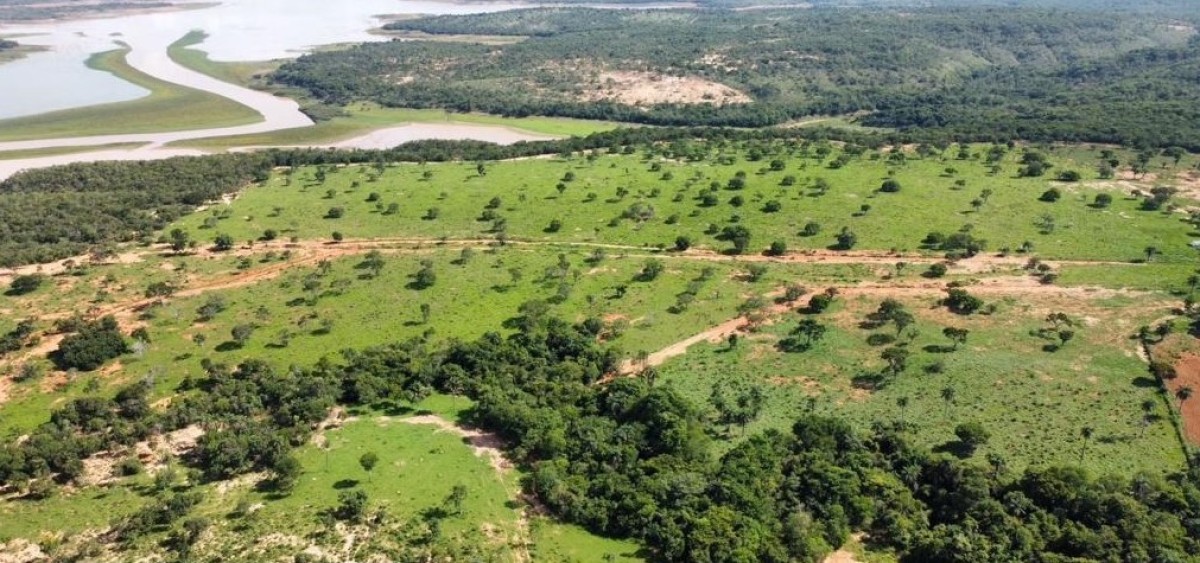 Fazenda, 687 hectares - Foto 7