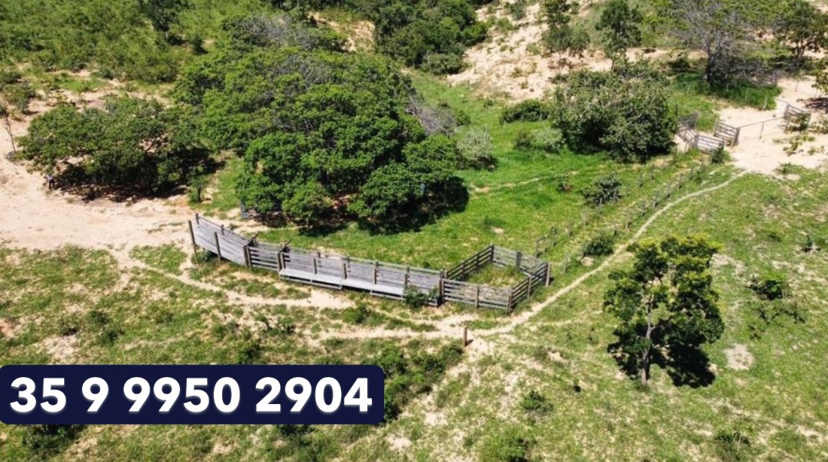 Fazenda, 687 hectares - Foto 14